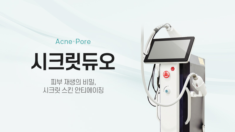시크릿듀오