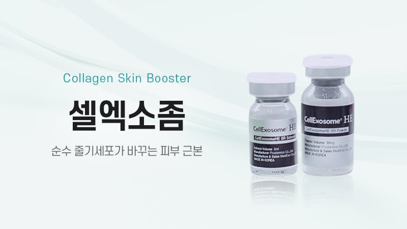 셀엑소좀